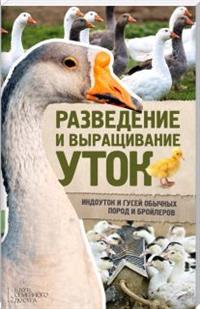 Разведение и выращивание уток, индоуток и гусей обычных пород и бройлеров