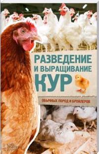 Разведение и выращивание кур обычных пород и бройлеров
