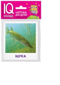 Умный малыш. Пресноводные рыбы: Карточки для детей с подсказками для взросл