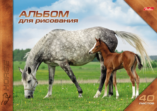 Альбом д/рис 40л спир Horses