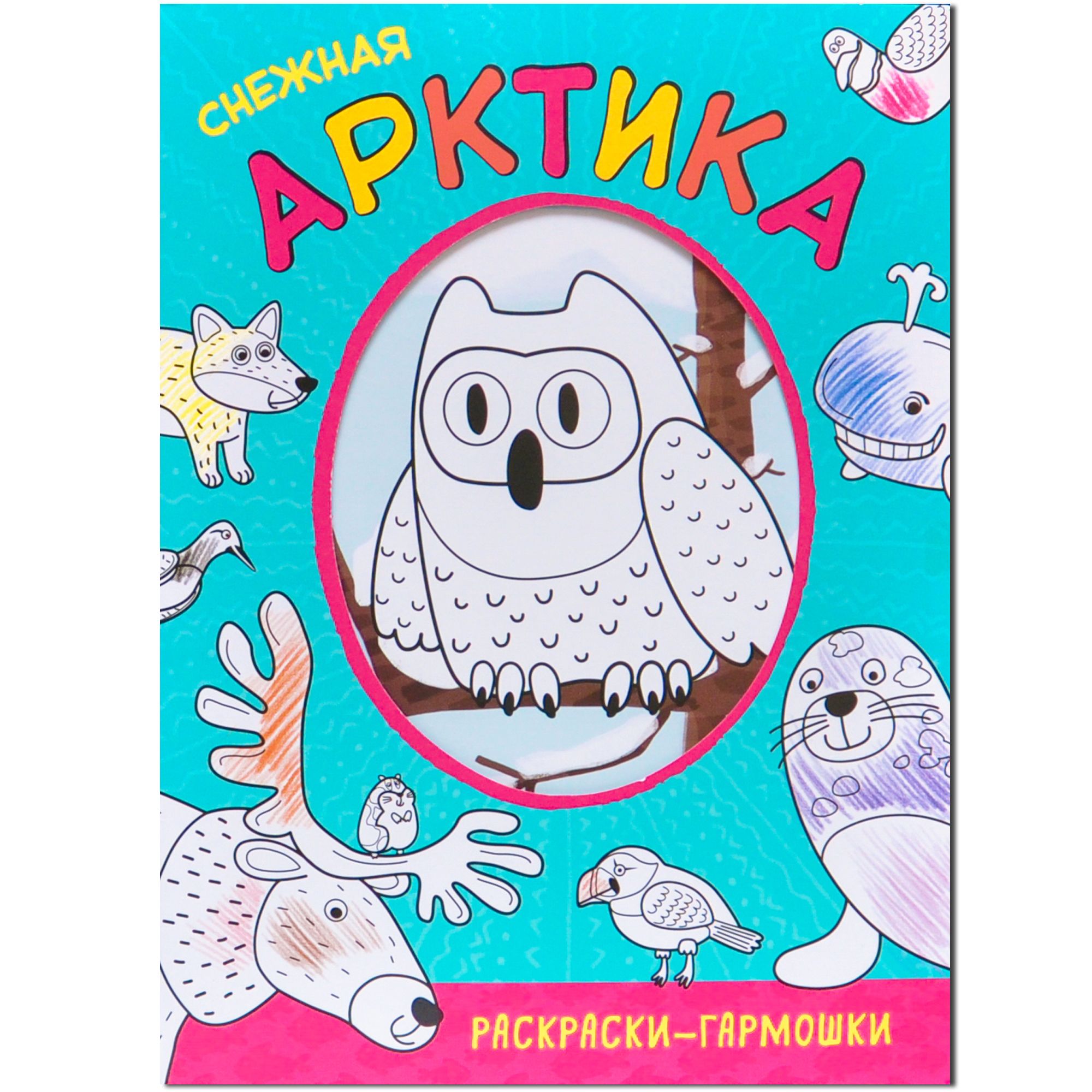 Раскраска Снежная Арктика