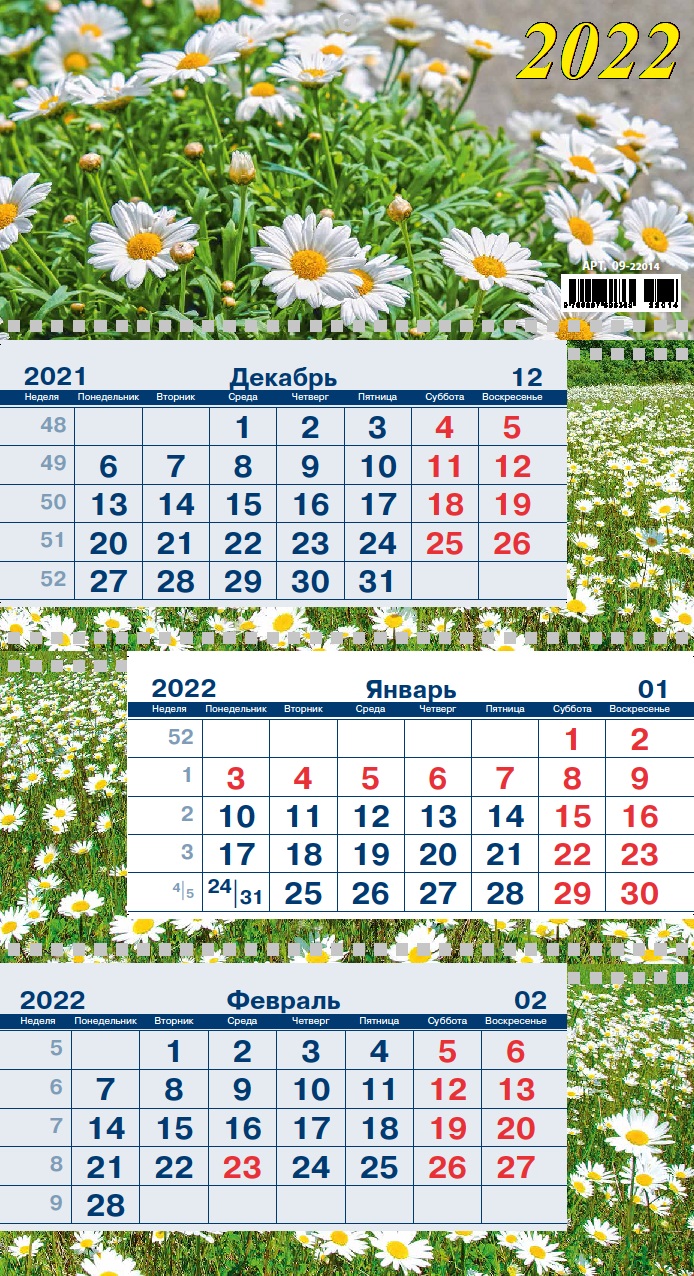 Календарь квартальный 2022 09-22014 Ромашки