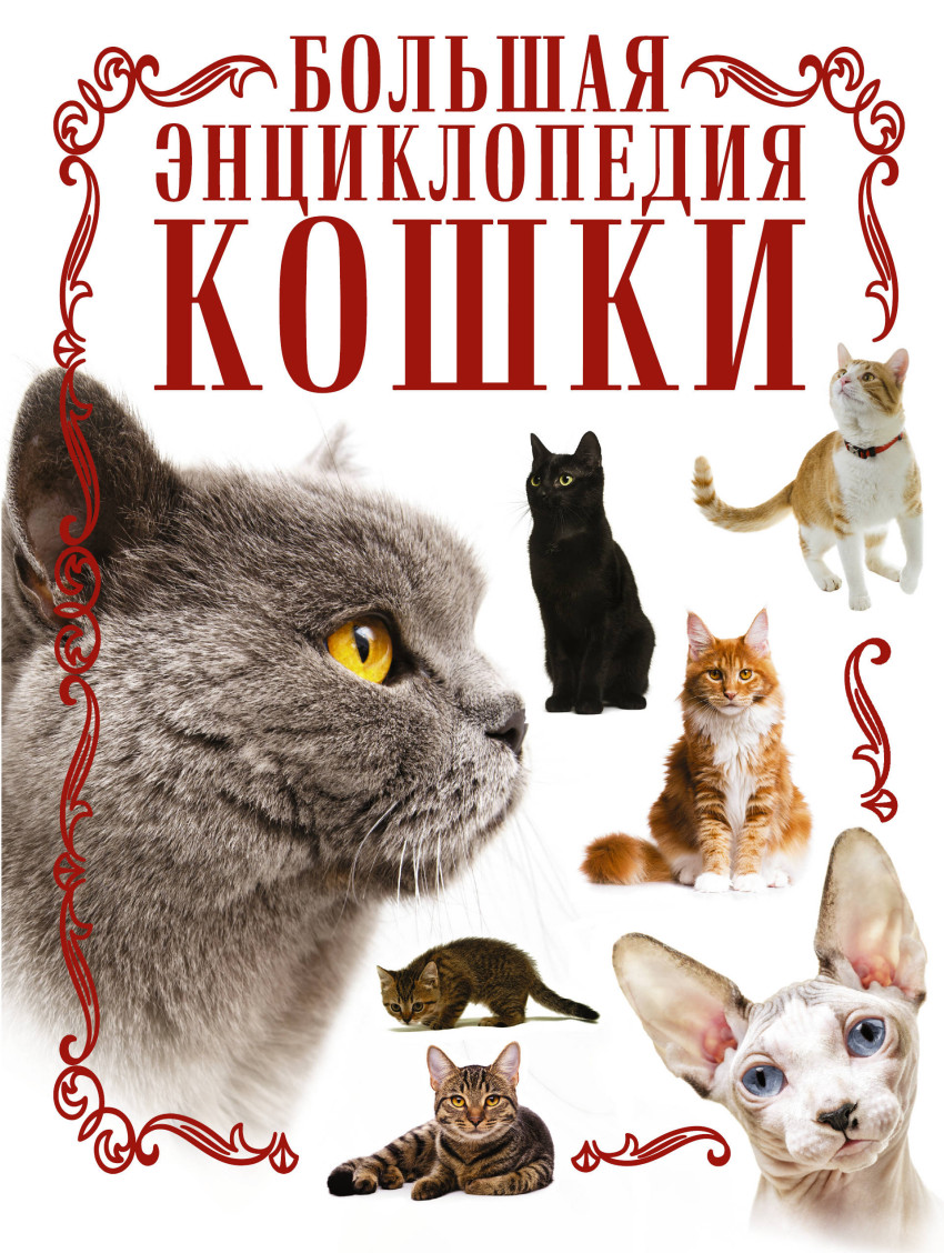 Кошки: Большая энциклопедия