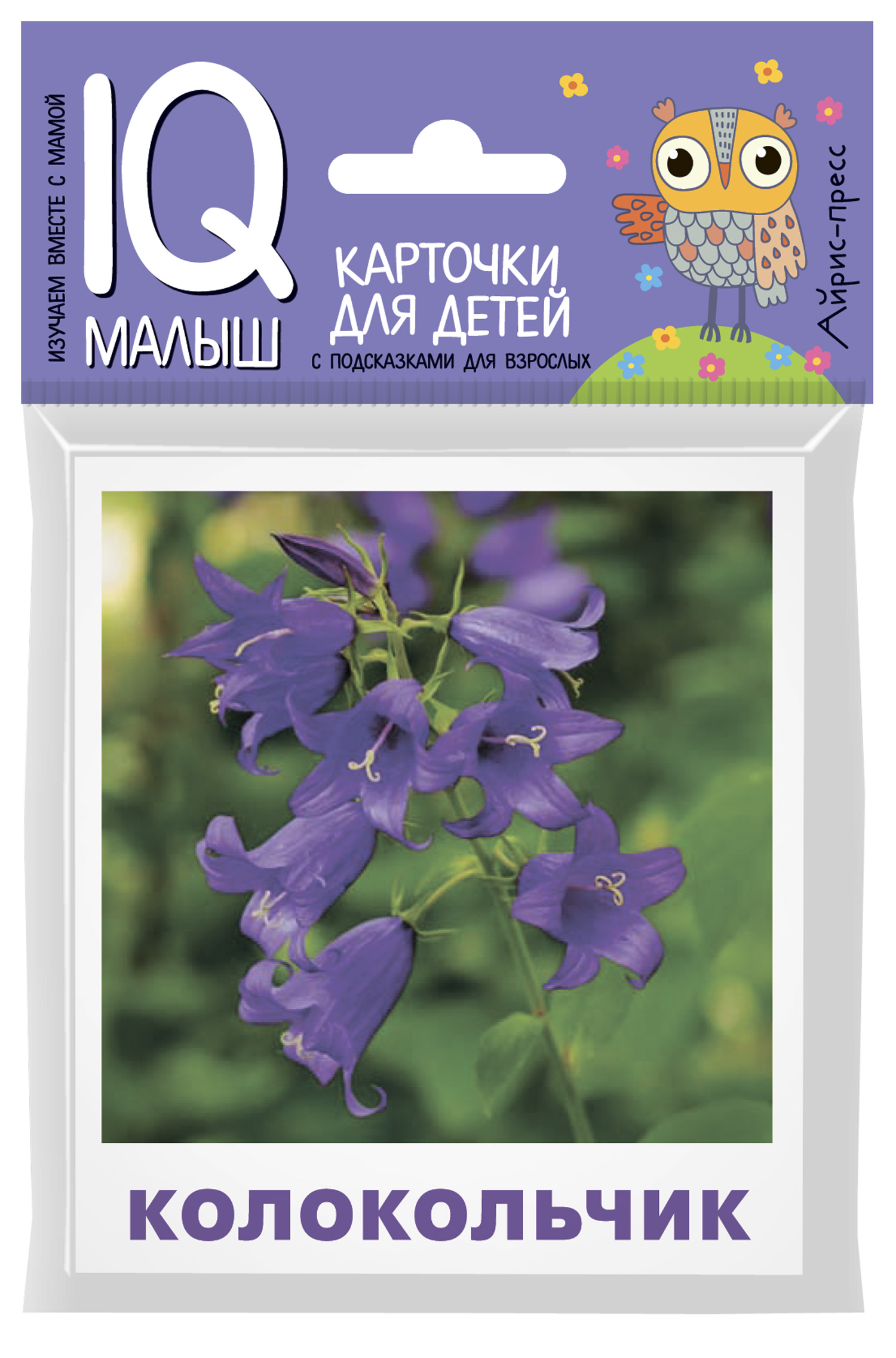 Умный малыш. Что растет на клумбе? Набор карточек для детей