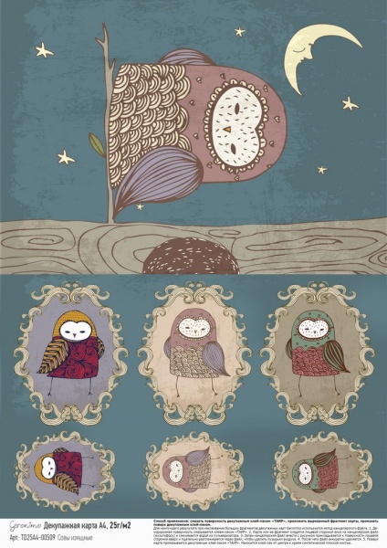 Творч Декупажная карта А4 Geronimo 25г/м2 Совы изящные