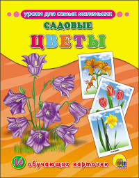Садовые цветы: 16 обучающих карточек