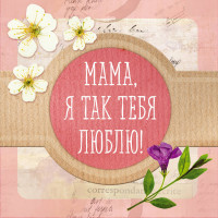 Творч Альбом-коробочка ярких воспоминаний и пожеланий Мама, я так тебя любл