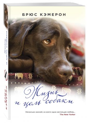 Жизнь и цель собаки: Роман