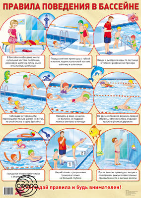 Плакат Правила поведения в бассейне А2
