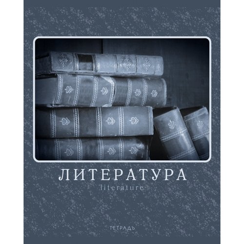Тетрадь 48л лин темат Литература Монохромный стиль