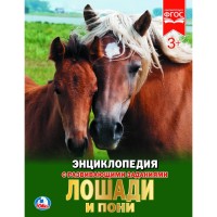 Лошади и пони
