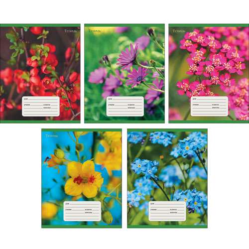 Тетрадь 24л линейка Нежные цветы