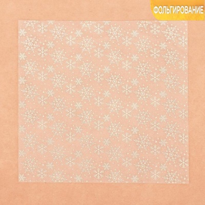 Творч Бумага д/скрап НГ Ацетатный лист 20*20см Вьюга фольг