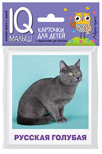 Умный малыш. Породы кошек: Умный малыш. Пресноводные рыбы: Карточки для дет