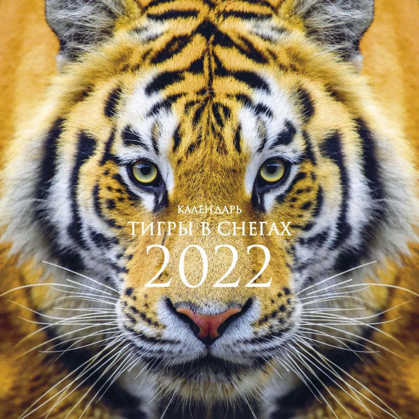 Календарь настенный 2022 Тигры в снегах