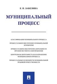 Муниципальный процесс: Монография
