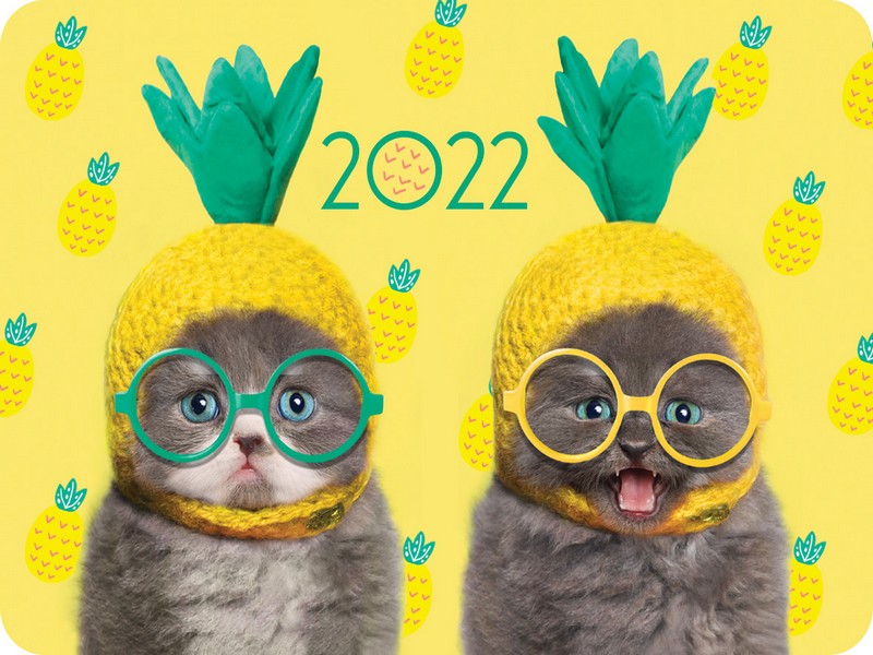 Календарь карманный 2022 Кк7 Прикольные животные