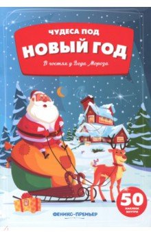 В гостях у Деда Мороза: Книжка с наклейками