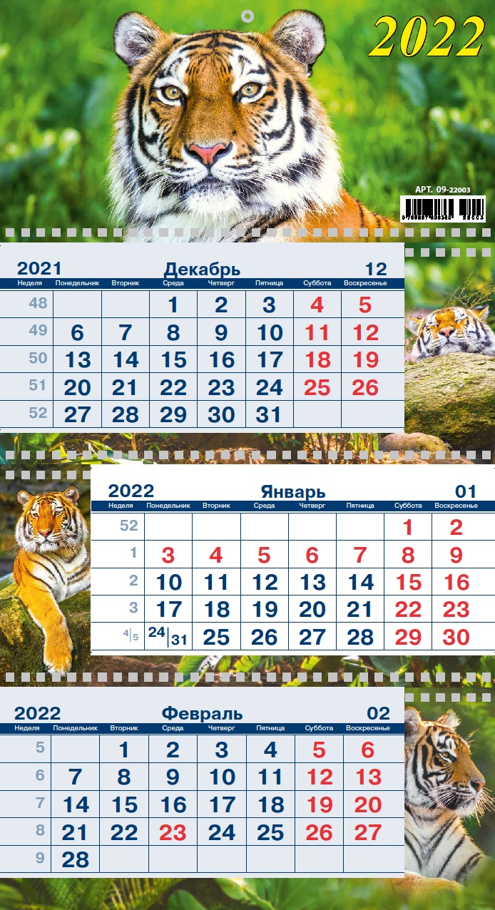 Календарь квартальный 2022 09-22003 Символ года