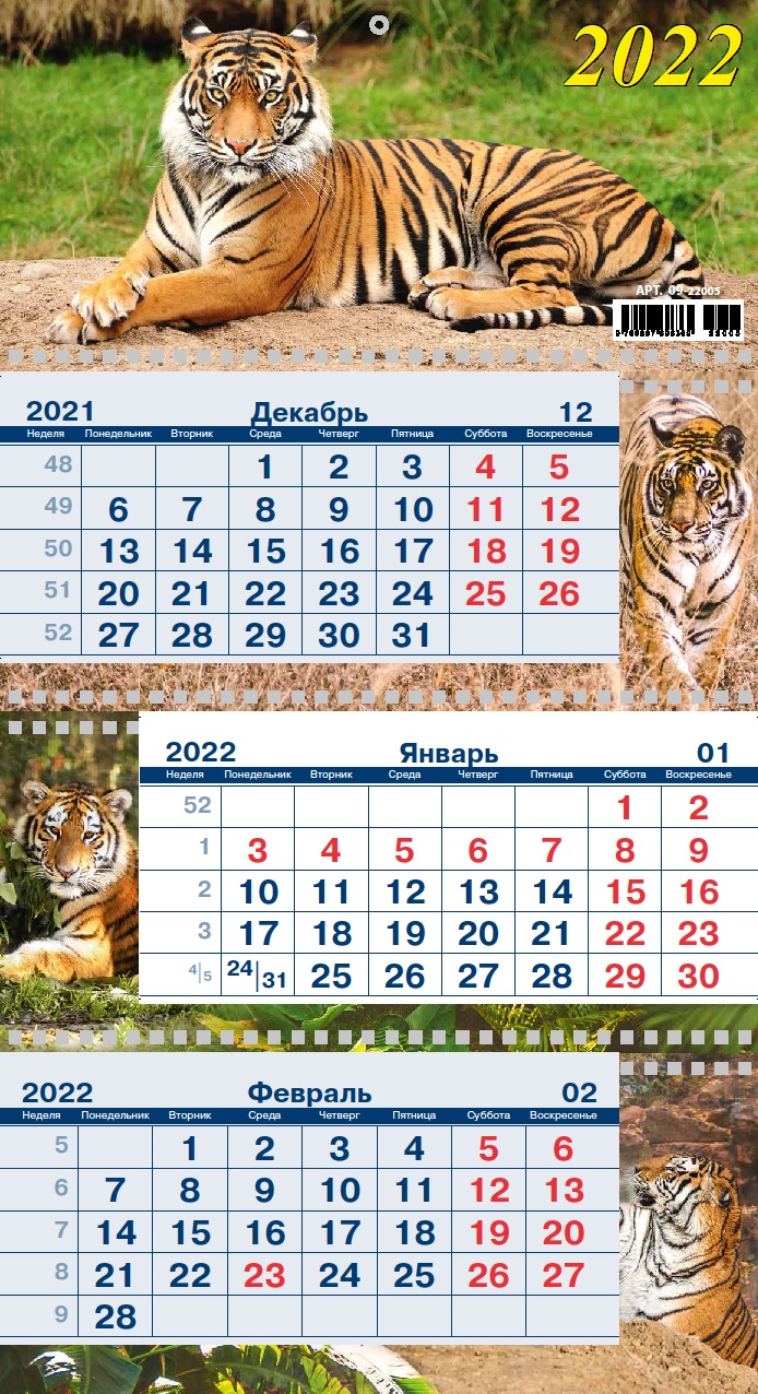 Календарь квартальный 2022 09-22005 Символ года