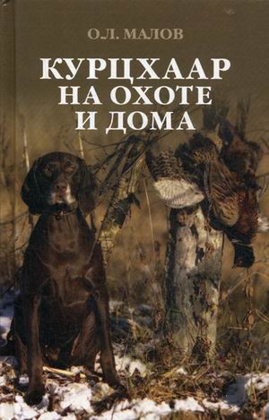 Курцхаар на охоте и дома
