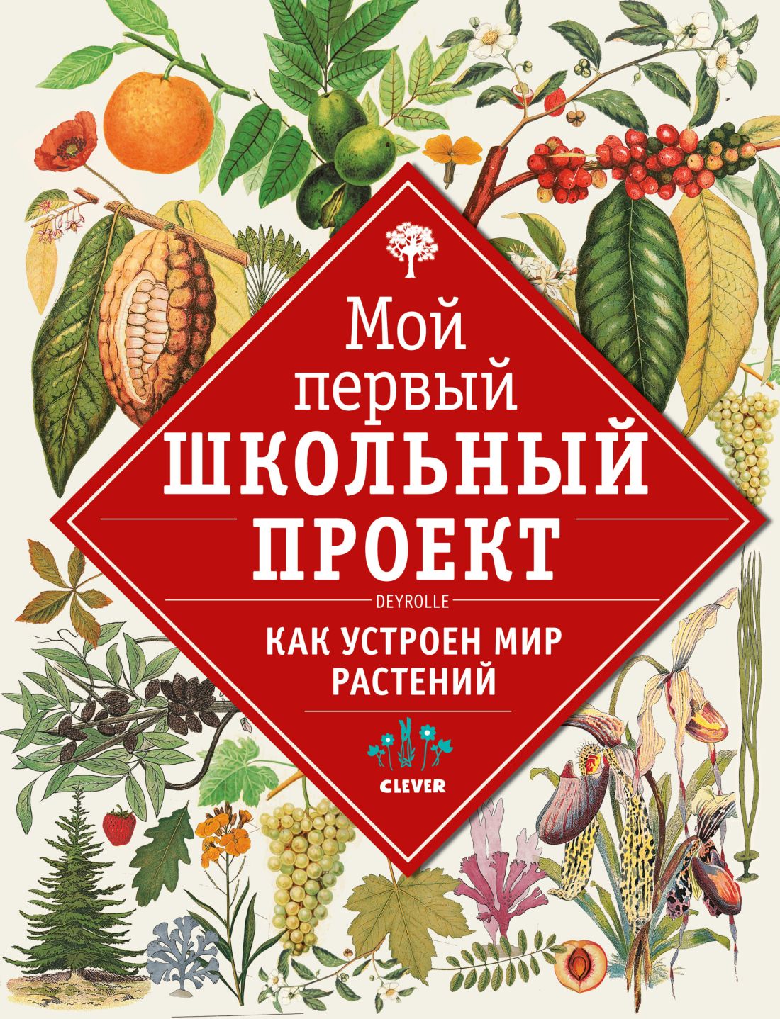 Как устроен мир растений
