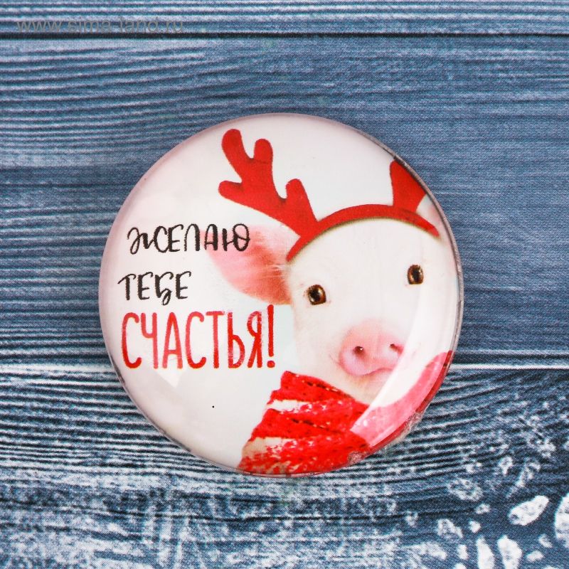 НГ Магнит Желаю тебе счастья! Год поросенка стекло 4х4см